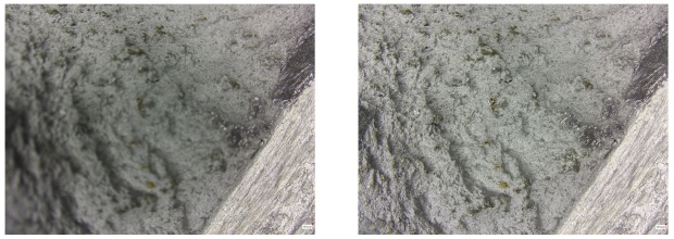 Функция расширенного фокуса в микроскопии: решения от компании Sunny Optical и компании SIAMS