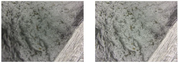 Функция расширенного фокуса в микроскопии: решения от компании Sunny Optical и компании SIAMS